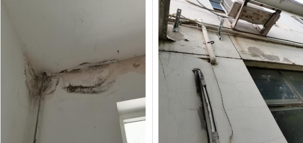 微信截圖_20211112131856